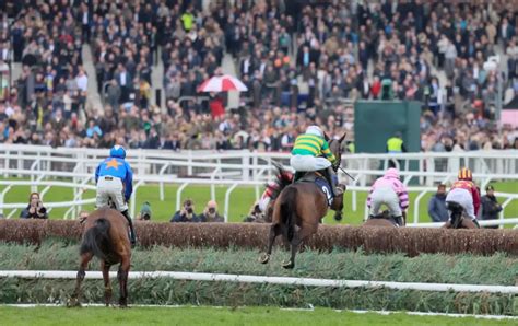 2024 Brown Advisory Novices' Chase Form: All you need to know .